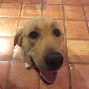 Meet your Posher, Daniel